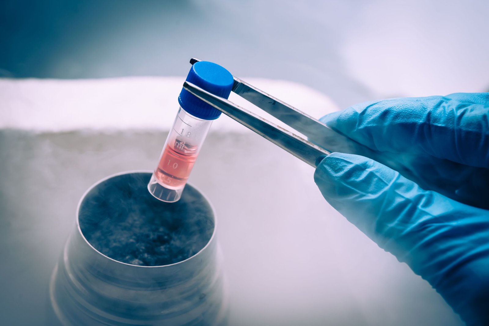 Egg Freezing and Fertility Planning Explained